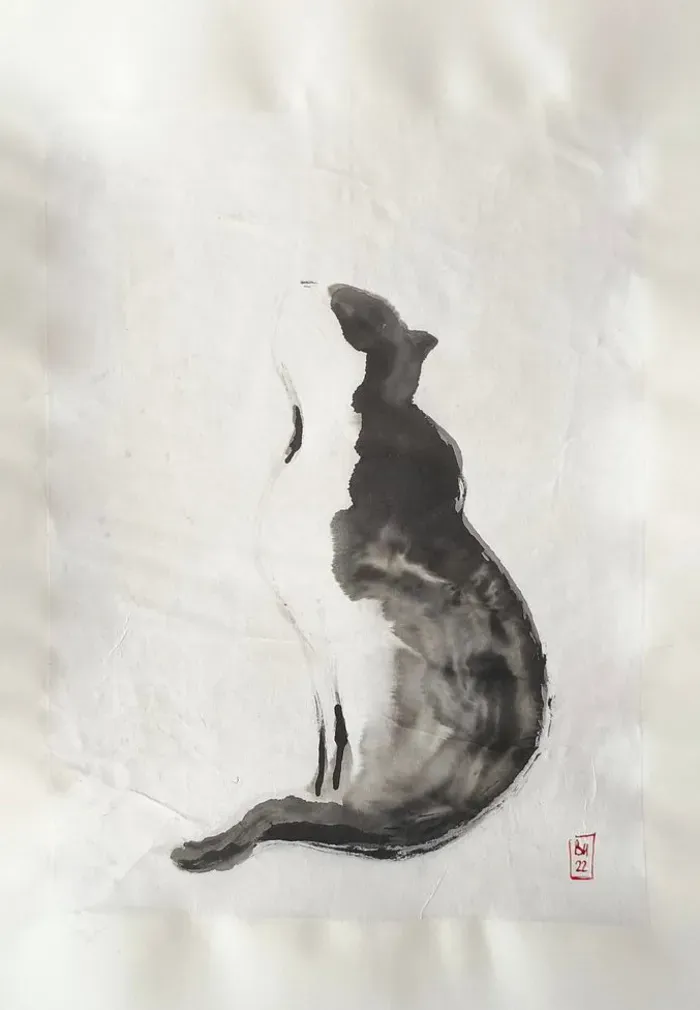 Silhouette de chat